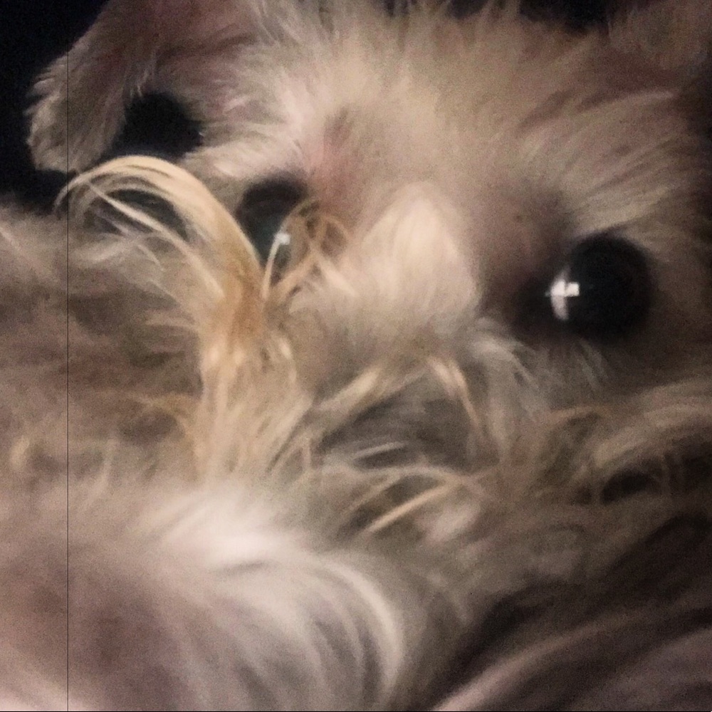 Meet your Posher, Kendra